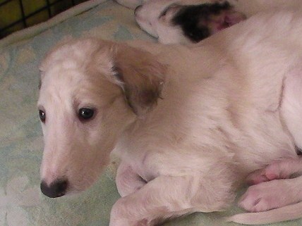 sany0001.jpg