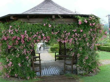 p1020109%281%29.jpg
