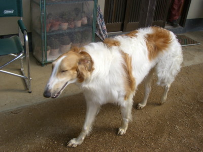 img20070228.jpg