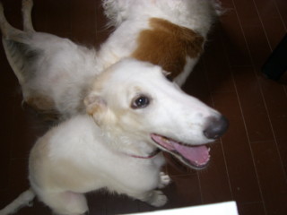 img20060826_1.jpg