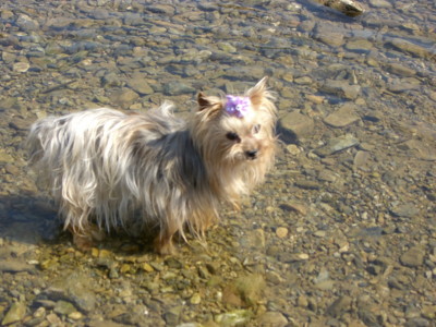 img20070429_8.jpg