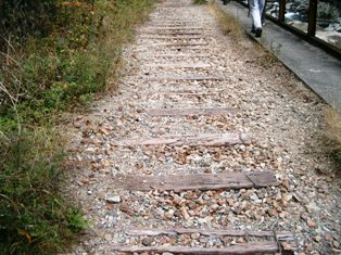 img20051120.jpg