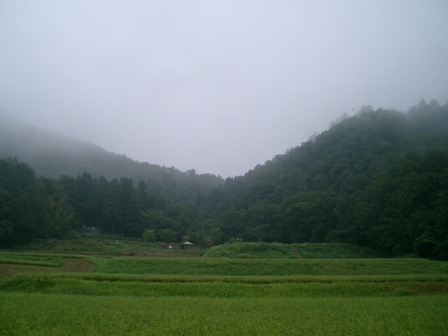 img20050816.jpg