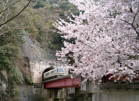img20060417.jpg