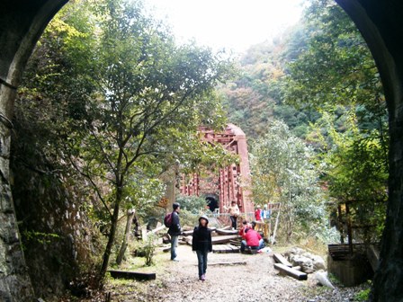 img20051120_1.jpg