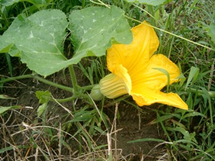 img20050816_2.jpg