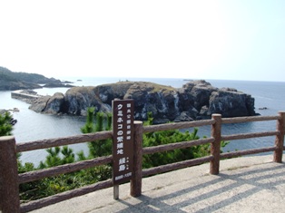 img20061022_1.jpg