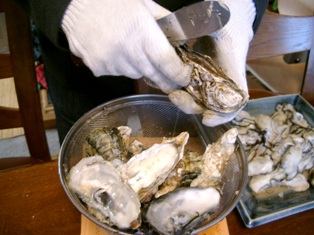 img20051229_2.jpg
