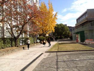 img20061207.jpg