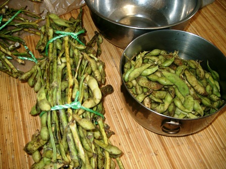img20051024_1.jpg