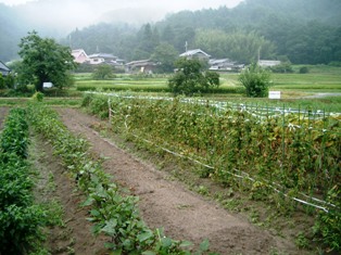 img20050816_3.jpg