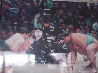 shonosuke02.jpg