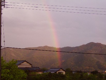 img20090414_1.jpg