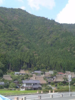 VFSH0693.jpg