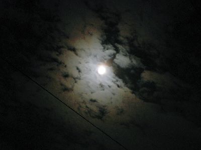 dscn1447-1.jpg