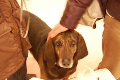 080126_13.jpg