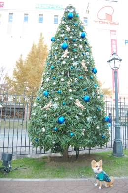 071125_3.jpg
