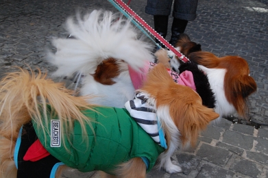 080127_3.jpg