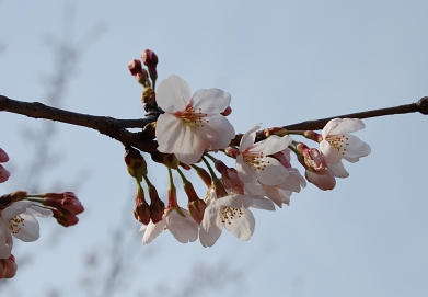 080326_1.jpg