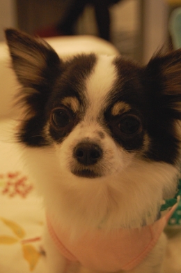 071230_3.jpg
