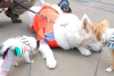 080322_1.jpg