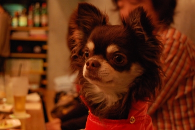080126_17.jpg