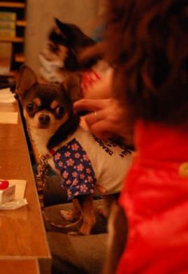 080126_18.jpg