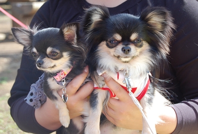 080323_7.jpg