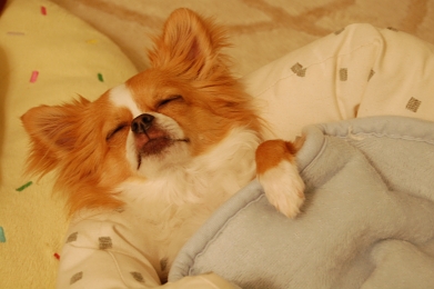 080326_2.jpg