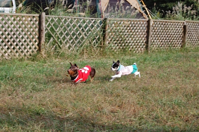 071020_12.jpg