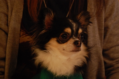 080126_5.jpg
