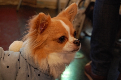 080202_1.jpg