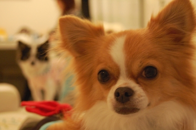 071230_2.jpg