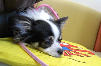 080216_2.jpg