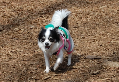 080322_5.jpg
