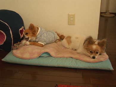 080207_3.jpg
