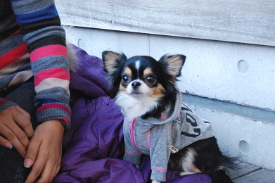 071123_11.jpg