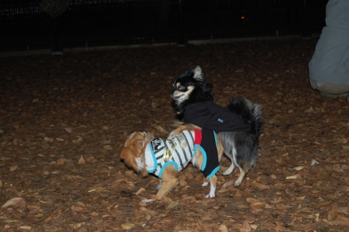 071120_8.jpg