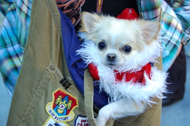 071226_3.jpg