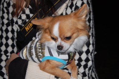 071120_11.jpg