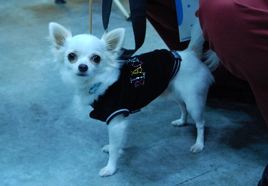 071226_4.jpg