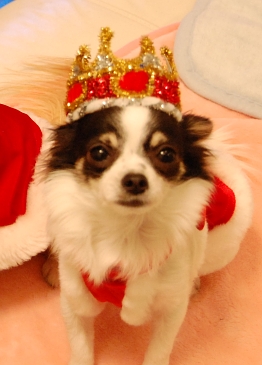 071224_3.jpg