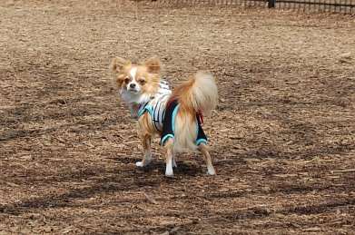080322_4.jpg