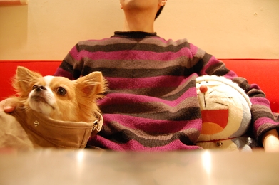 080126_4.jpg
