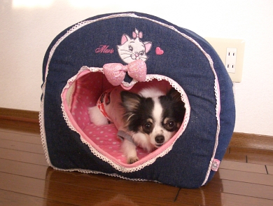 080207_4.jpg