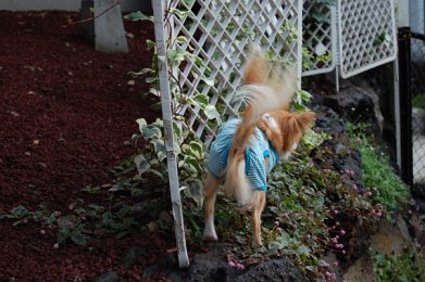 071020_2.jpg