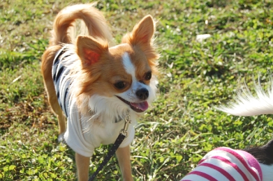 071028_6.jpg