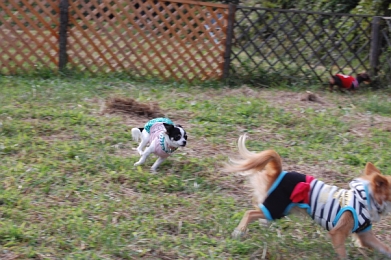 071020_11.jpg