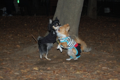 071120_9.jpg