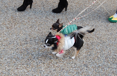 080126_8.jpg